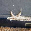 하얀집 화장실 이미지