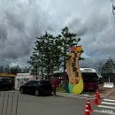 복숭아쉼터 | 세종 조치원 복숭아축제 방문 복숭아 구매 후기 및 놀거리소개