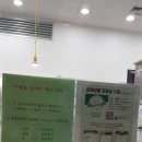 루덴네일