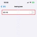 디엠(DM)