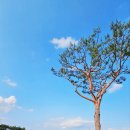 군위 오펠골프클럽 | [경북(대구) 군위 골프장]군위오펠cc 야간 라운딩~ 최상의 골프장에서 최고의 스코어를 기록하다.