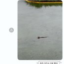 중경카 | 25.10월 일상