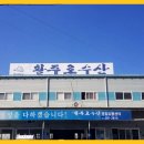 푸른수산횟집