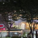 오가네족발 | 김해 족발 맛집 오가네족발 김해 본점 내돈내산 후기