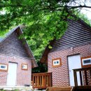 자연밸리 관광농원 이미지