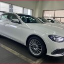 몬스터렌터카 이미지