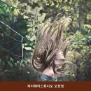 하이헤어스튜디오 오천점