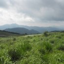 정고개농장 이미지