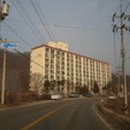 태장208