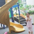 용인대 백룡태권도 네이버블로그