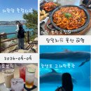 김준호의대단한커피울산 | 영크크날에 즐기는 늙크크들의 당일치기 울산 여행 | 해탄·대왕암·오브릭·고래박물관