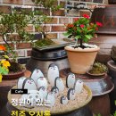 오시롬 | 전주아중리카페 정원과 공방이 함께하는 오시롬