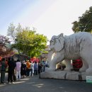 강진-46 | 4월 국내 여행 추천 강진 남미륵사 서부해당화 전남 꽃구경 여행지