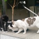 성동구청 뒤편 이미지