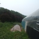 상순농장 이미지