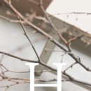 노원-공릉-3411 이미지