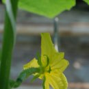 계산농장 이미지