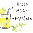 한국한센복지협회울산경남지부마산부설의원 이미지