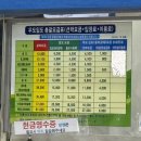 백사카서비스 | 성산에서 우도가는 법 우도도항선 매표소 배시간 이용요금 차량승선 방법