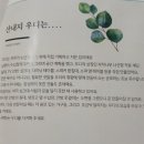 산내지우디 이미지