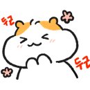 방배김밥홈플러스성서점