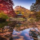 선덕의료재단 이미지