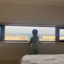 집우집주 | 깨끗하고, 아기용품 있고, 집밥 조식이 맛있는 아기랑 제주도 숙소 후기 입니다