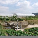 효행로 854번길 이미지