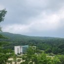 커피빈삼성봉은사로점