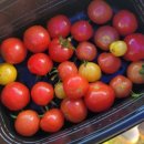 청용농장 이미지