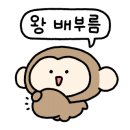 애플꼬마김밥김포