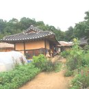 영주수도리김뢰진가옥 Daum카페