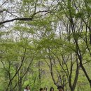 치유의숲 | [2026.04 천안] 몸과 마음의 쉼표, 태학산 치유의 숲 체험 후기