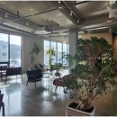 바보온달 이미지