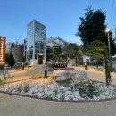 실버케어 이미지