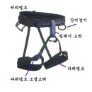 하단 안전벨트 Daum카페