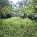 장동목장 이미지