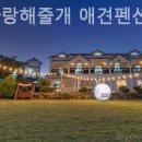 사랑애견펜션 이미지