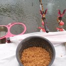 천지연낚시터 이미지