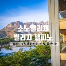 소노펠리체 빌리지 델피노 B동 실버스위트 2층 숙박 후기 (뷰 좋은 동 선택 팁, 룸컨디션)