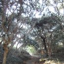 옥룡사지 이미지