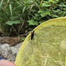 하늘마루 | 양평 백운봉 자연휴양림 하늘마루1 계곡 바베큐 가족여행 숲속의집