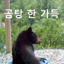 맘스터치 안성중앙대점 이미지