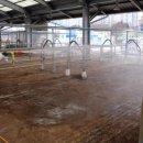 안성축협동물병원 이미지