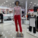 팜스프링스 이미지