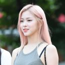 뿜뿜 이미지