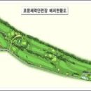 체력단련장 이미지