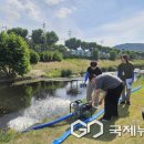 달서천변 국제뉴스