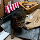 유니온동물병원 이미지