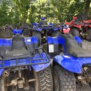 동강의품속 이미지